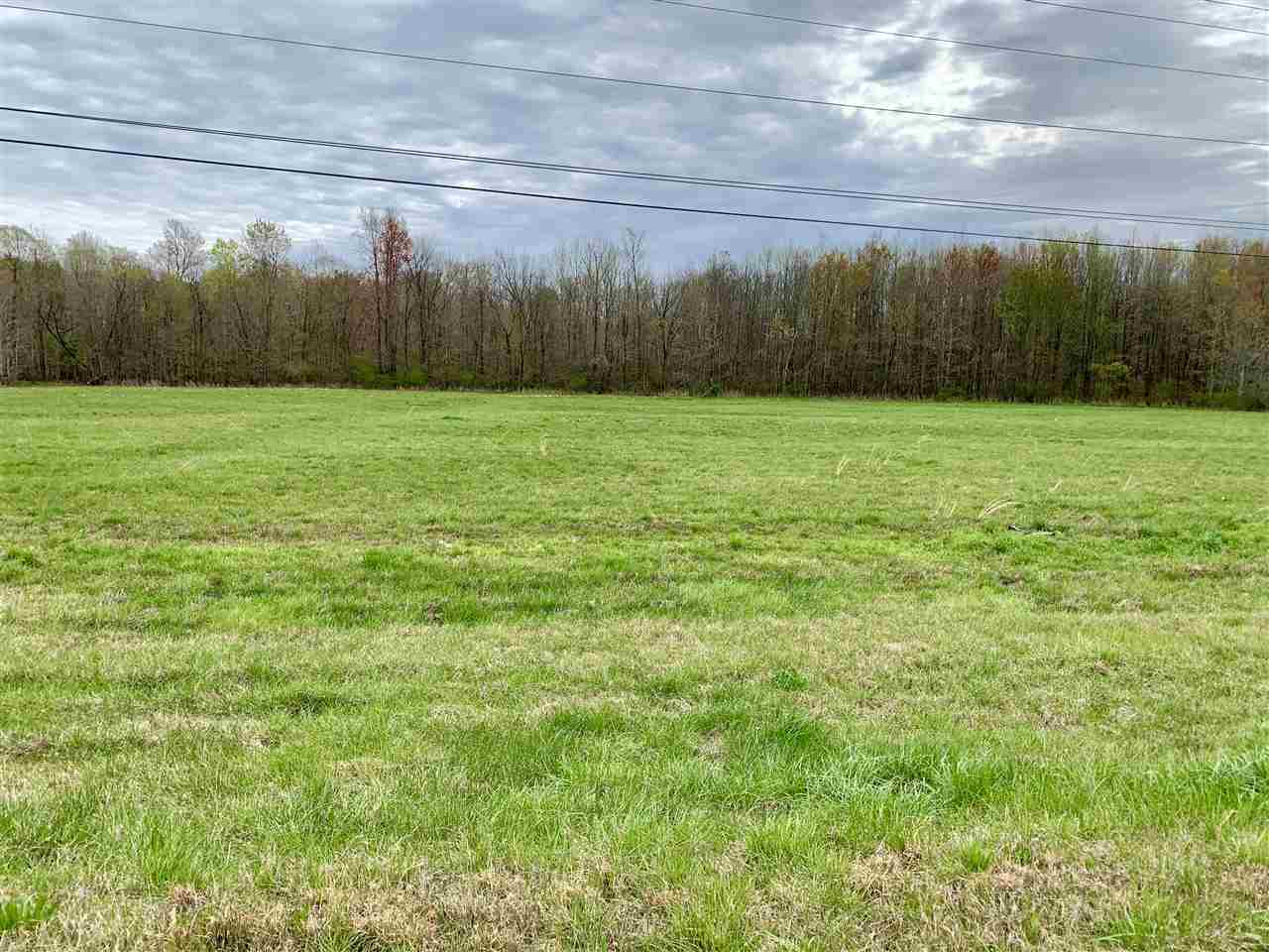 Farm/Ranch/Land for sale – 00  Highway 45   Trenton, TN